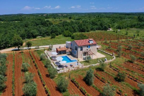 Relax house surrounded by olives and vineyard